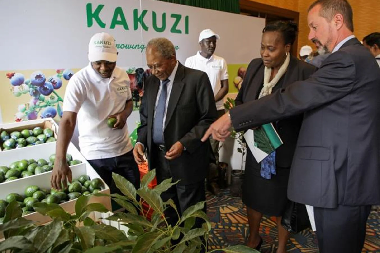 Kakuzi’s Profit Surge Shows Kenya’s Agricultural Future Lies in Value, Diversification and Global Markets